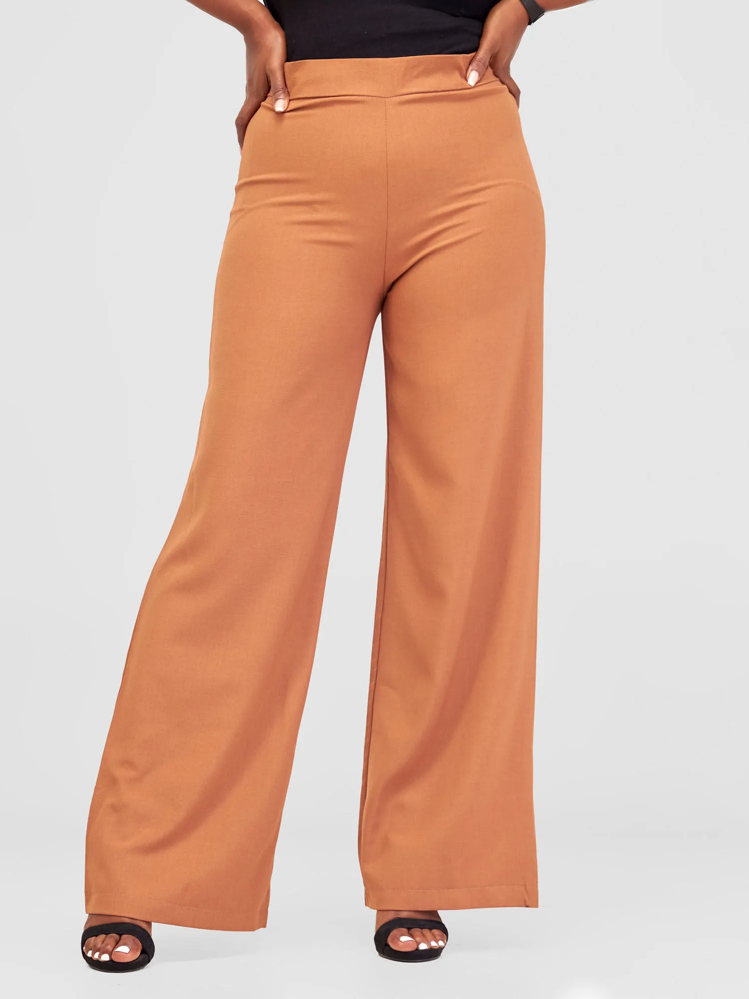 Anika Straight Leg Dress Pants With Zipper At Back - Brown