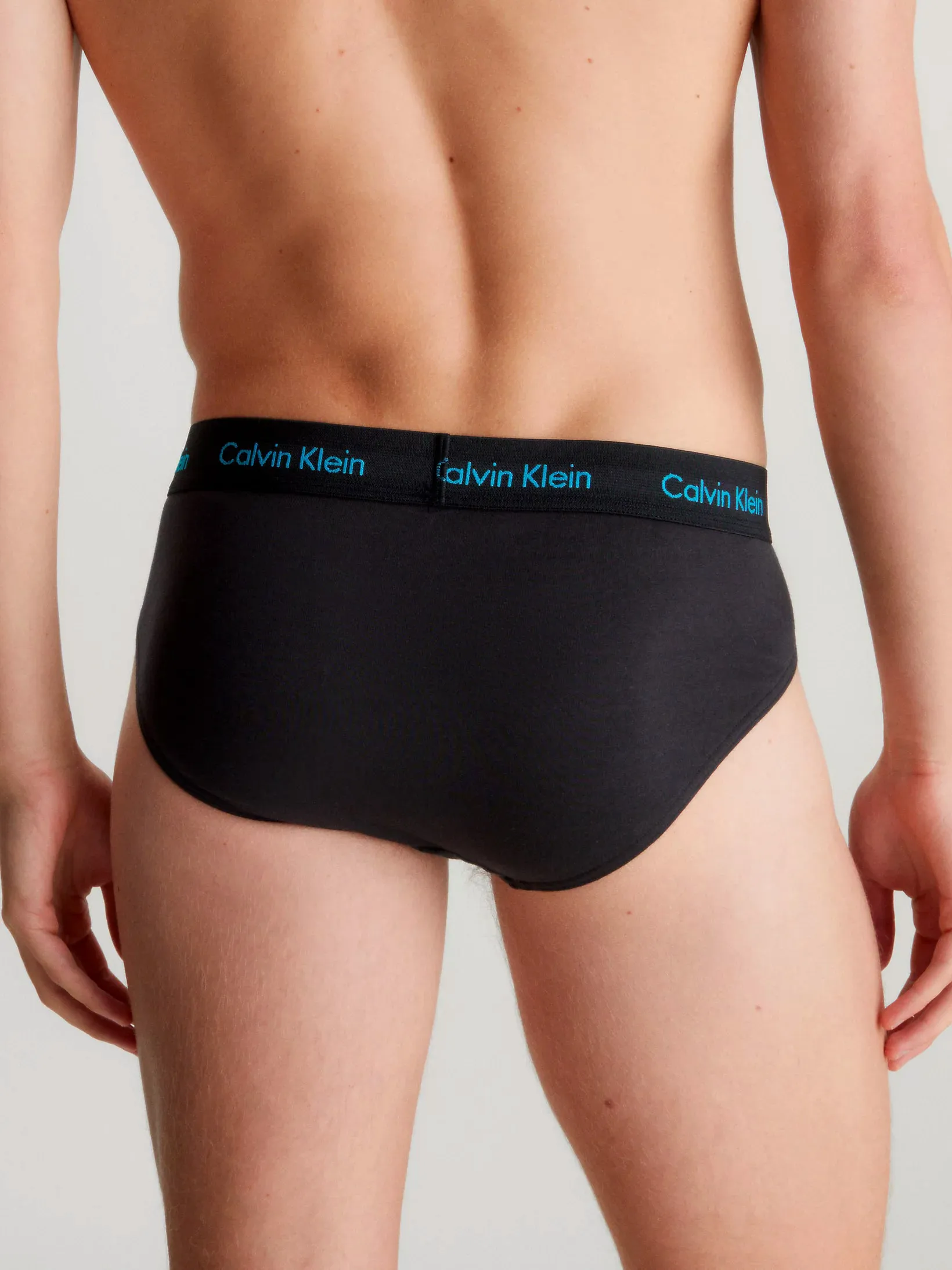 Mens Hip Brief Pants by Calvin Klein (3-Pack)