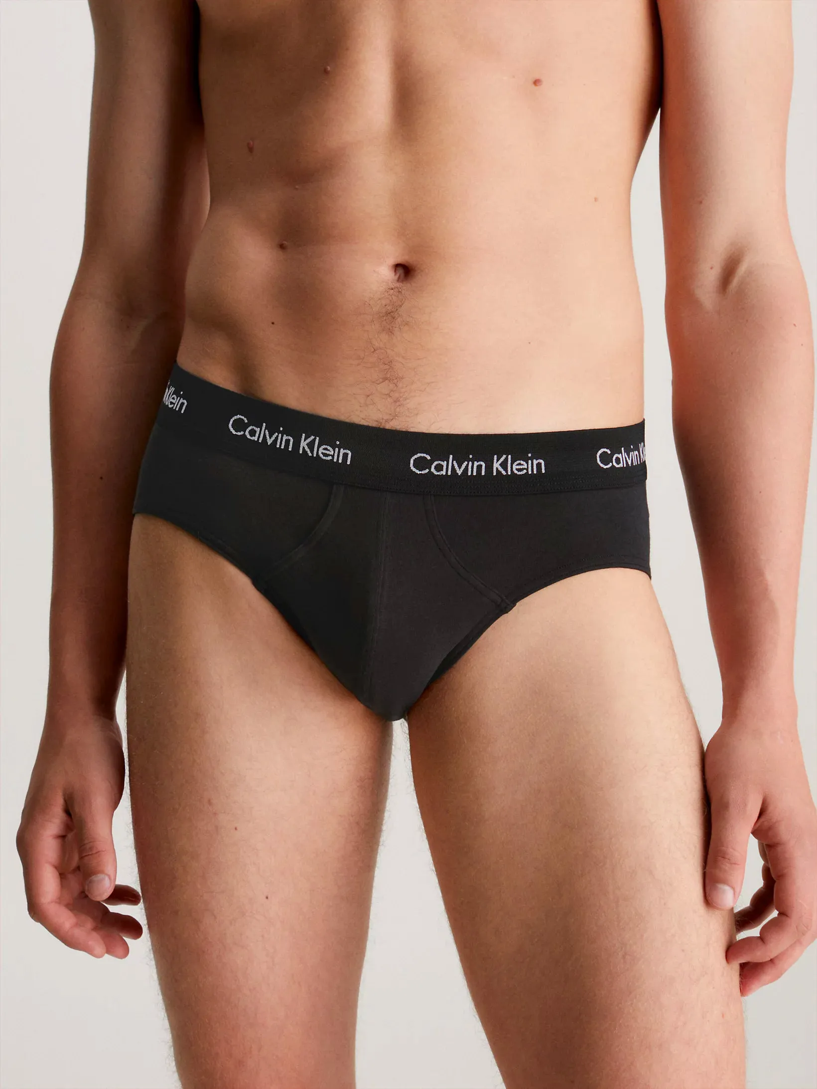 Mens Hip Brief Pants by Calvin Klein (3-Pack)