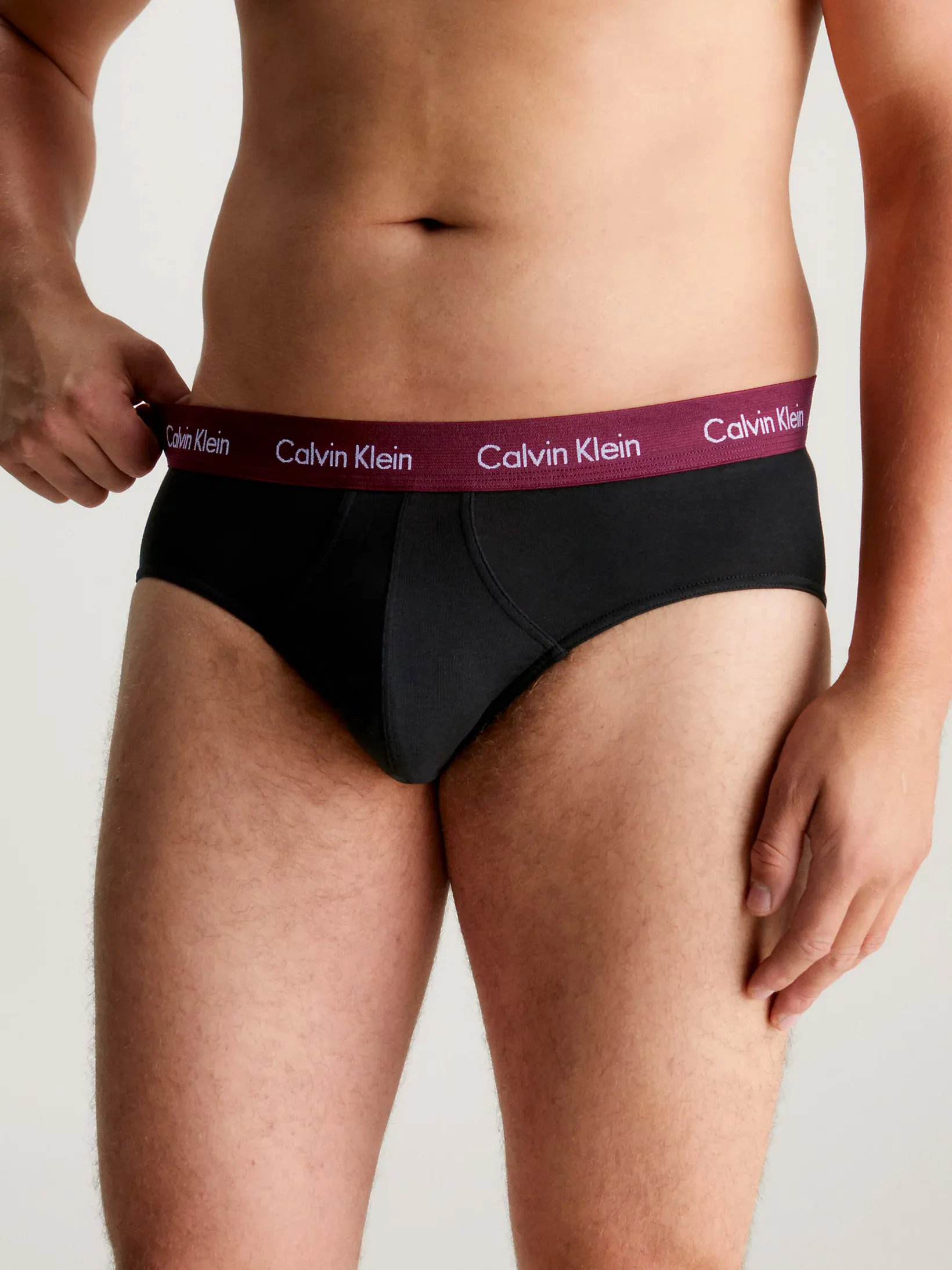 Mens Hip Brief Pants by Calvin Klein (3-Pack)