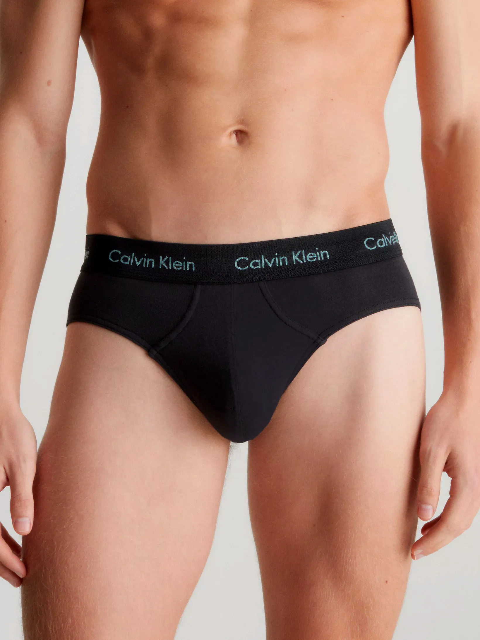 Mens Hip Brief Pants by Calvin Klein (3-Pack)